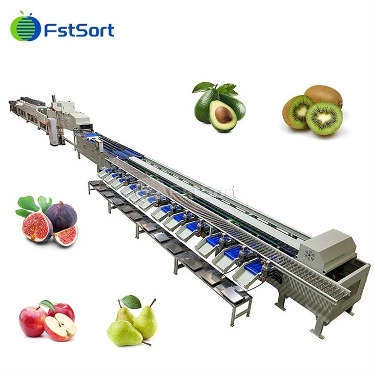 Lavatrice automatica di frutta di figue