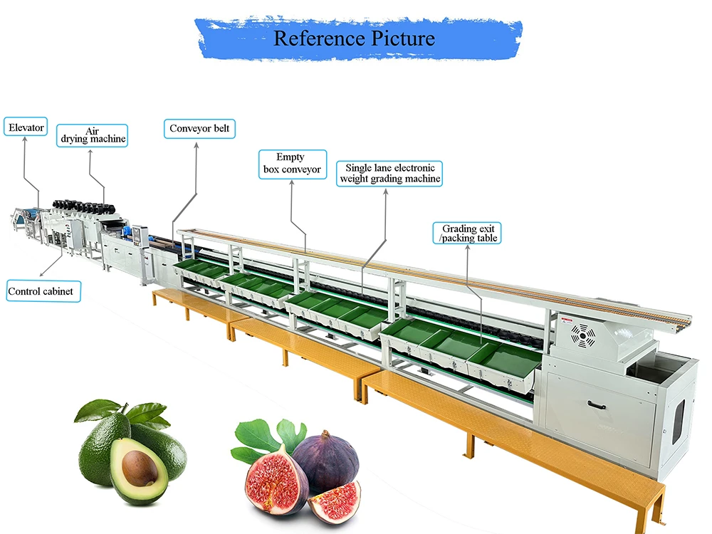 fig fruit sorter