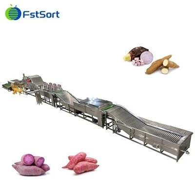 Lavatrice automatica di patate dolci, lavatrice, asciugatrice, processore di pulizia