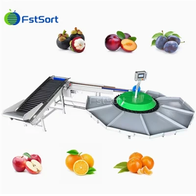 Citrus Circular Weight Sorting Machine